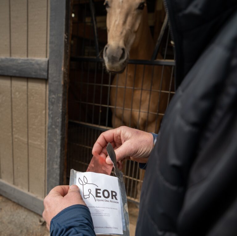 431347694_305296312569006_2269884822270377770_n