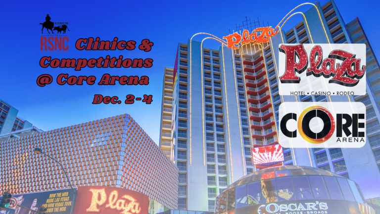 RSNC Plaza Clinics_website