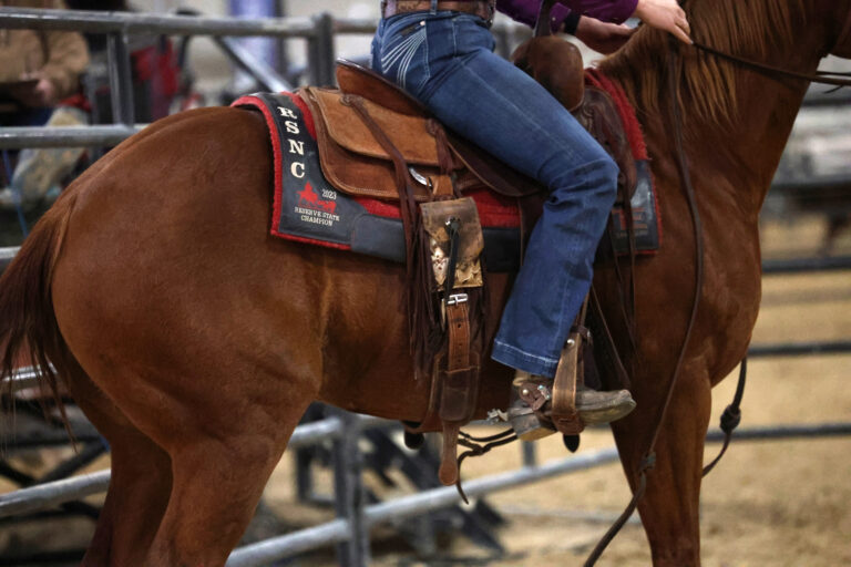 RSNC_Nov2024_SouthPoint_AllStarSrtBowl_F33A0138