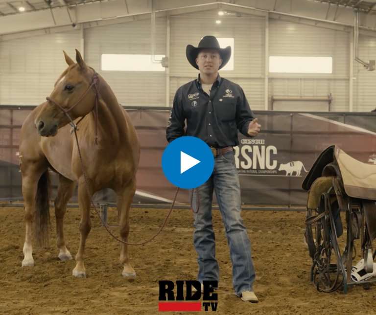 Untitled design - 2024-11-04T104233