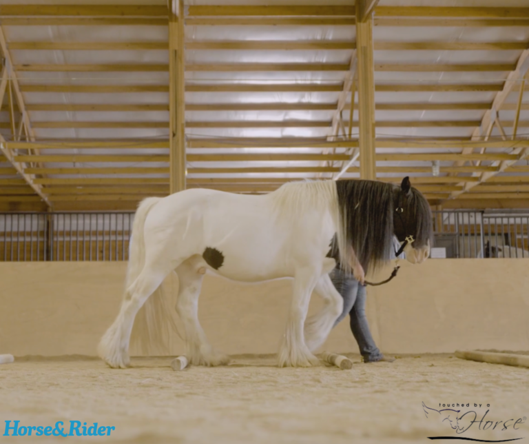 Untitled design - 2024-11-08T112328