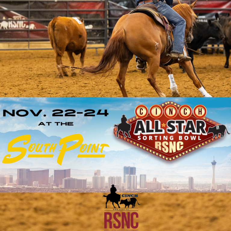 Untitled design - 2024-11-21T074950