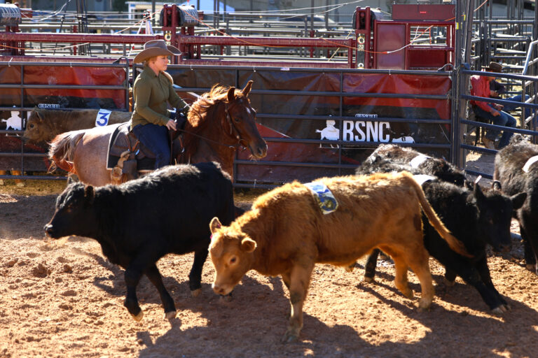 1224_EmaleeTomoni_RSNC-plaza_edit_549A0644