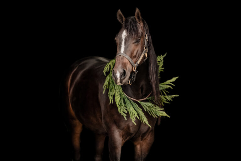 5F2A0063-Edit-Edit-Edit (1)