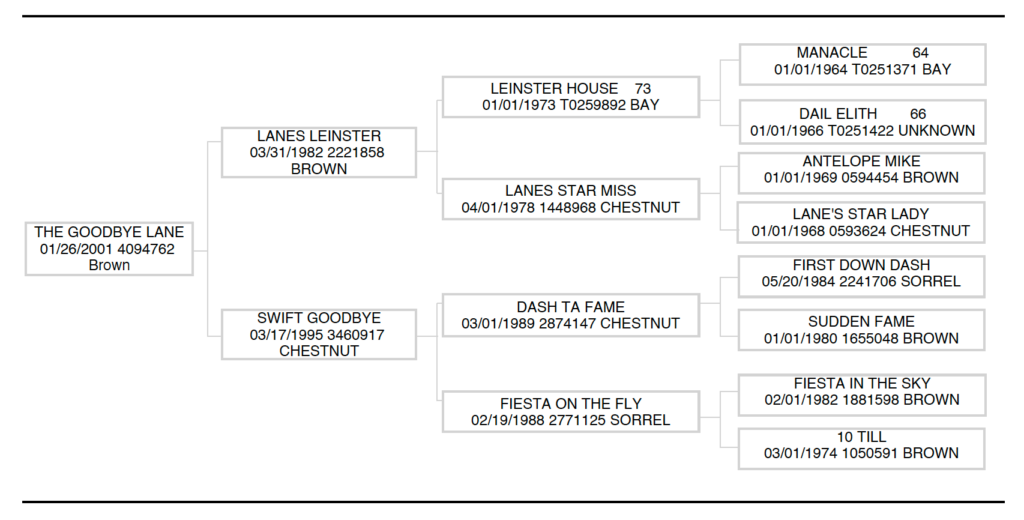AQHA bloodline papers for The Goodbye Lane