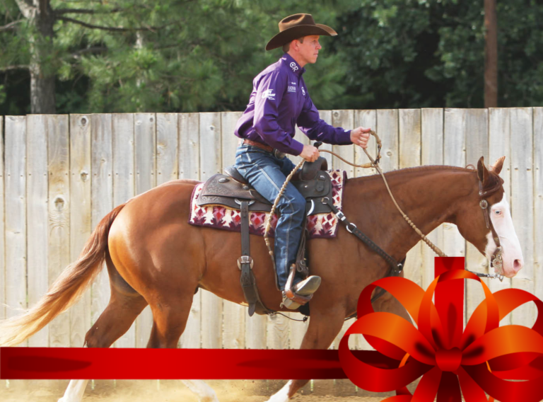 Untitled design - 2024-12-12T154008