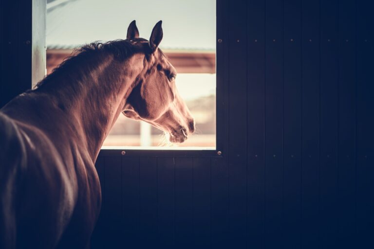 AdobeStock_273862721-scaled