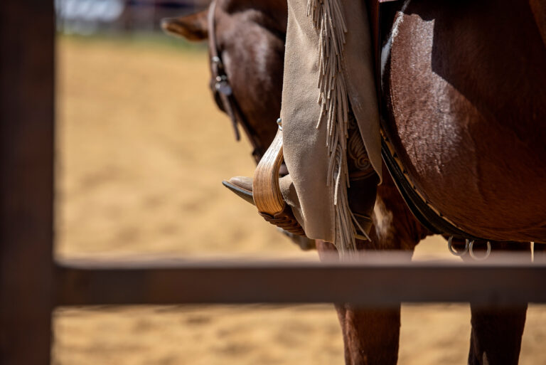 stirrup and chaps