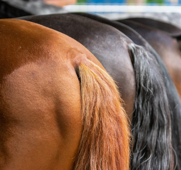 AdobeStock_515725403