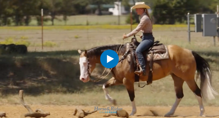 Untitled design - 2025-01-04T101615