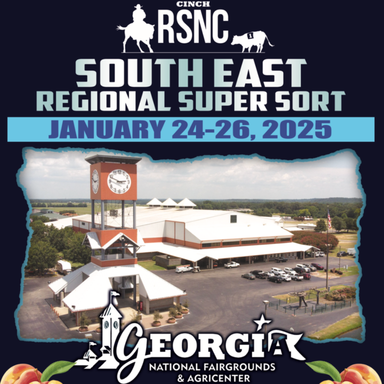 Untitled design - 2025-01-21T090832