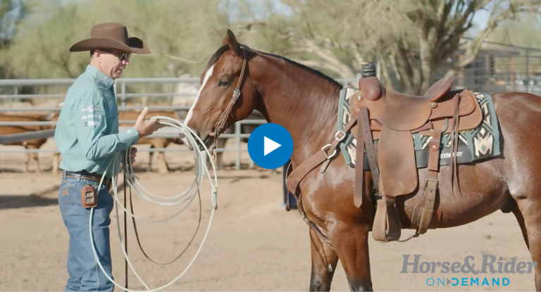 Brad Barkemeyer in a teal shirt and brown hat standing next to a saddled bay horse. He holds a rope toward the horse's nose. They are in an outdoor arena with trees and fencing in the background.