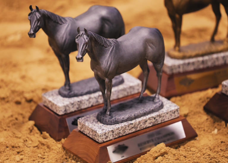 Cinch RSNC award trophies