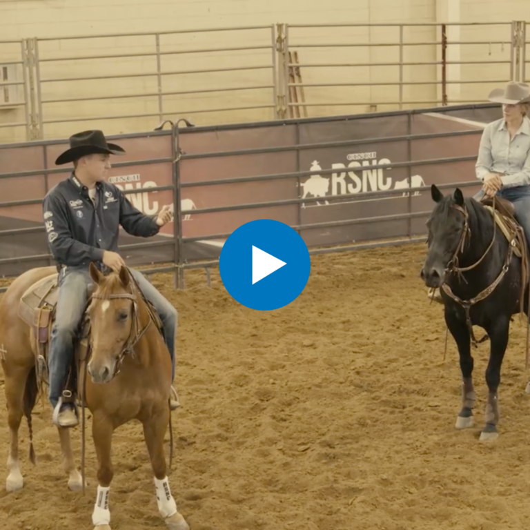 Untitled design - 2025-02-06T132521