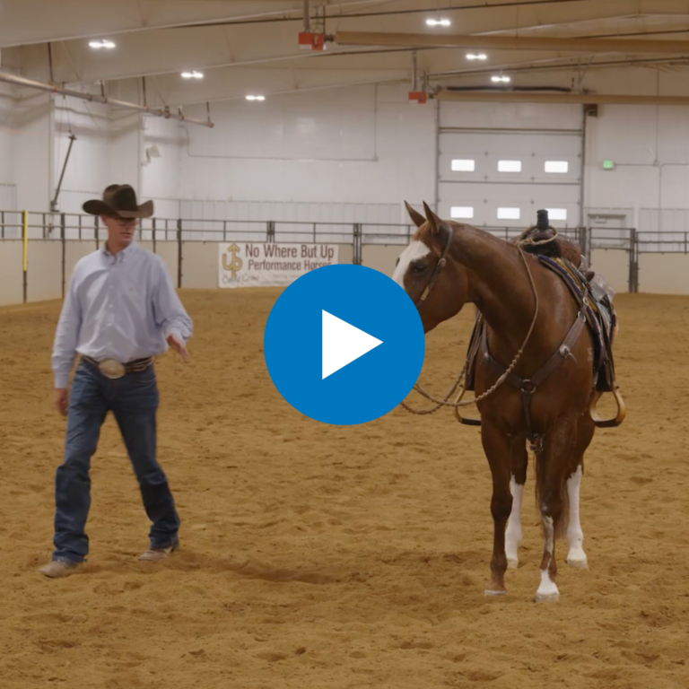 Untitled design - 2025-02-13T151901