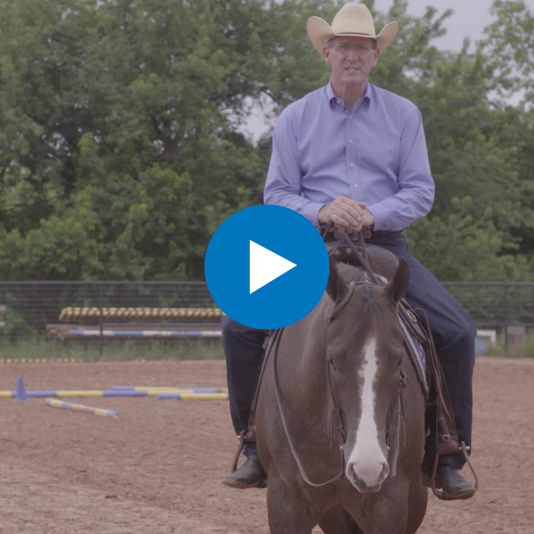 Untitled design - 2025-02-21T104433