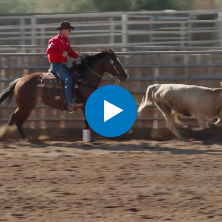 Untitled design - 2025-02-26T111324