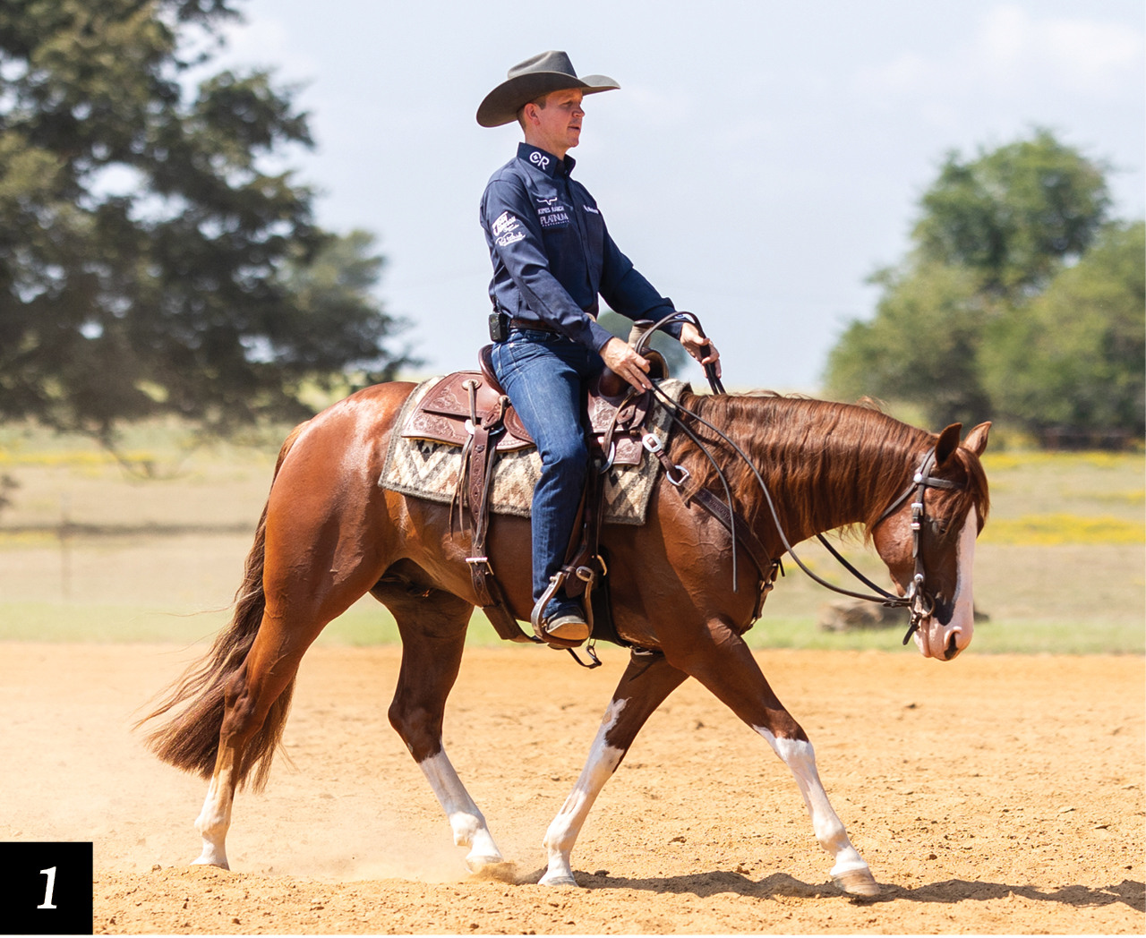 Ridge Riding Ranch Riding Trot Logs - Horse&Rider