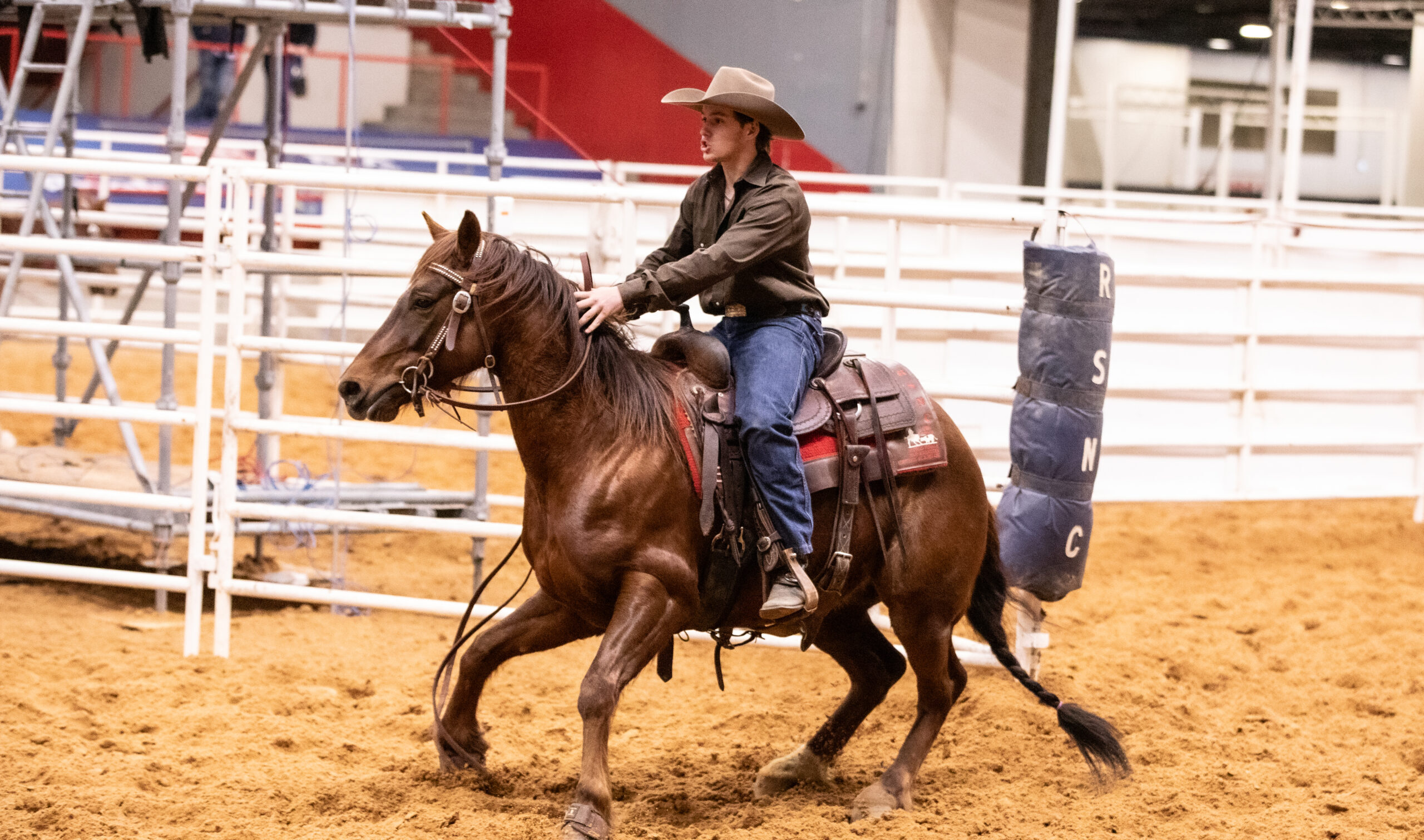 RodeoHouston Cinch RSNC ranch sorting