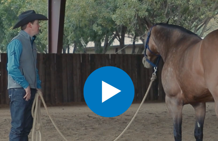 Untitled design - 2025-03-14T100729