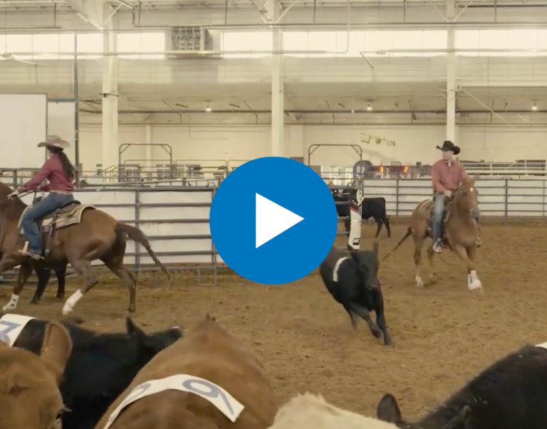 Untitled design - 2025-03-21T121554