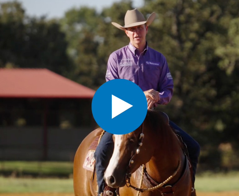 Untitled design - 2025-03-28T105903