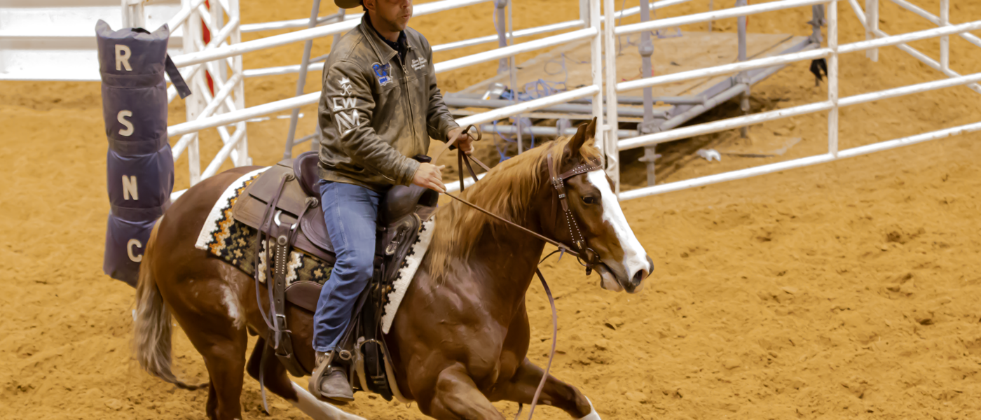 The Freak, Cattinlilreycat, under Nelson Mas at Cinch RSNC RodeoHouston ranch sorting in 2025