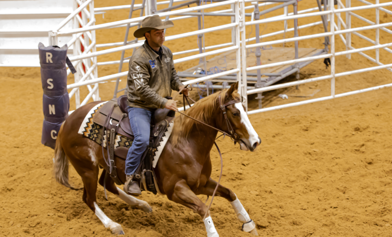 The Freak, Cattinlilreycat, under Nelson Mas at Cinch RSNC RodeoHouston ranch sorting in 2025