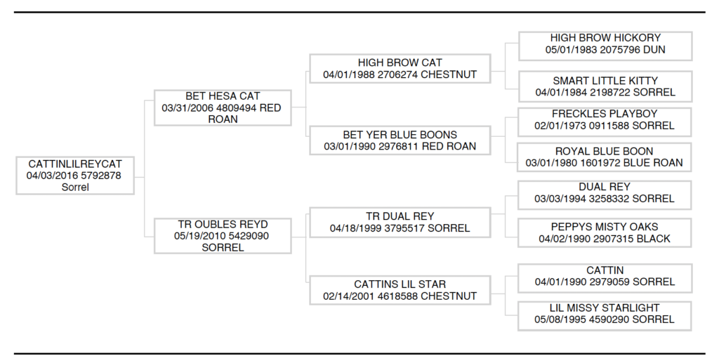 AQHA's Cattinlilreycat, aka The Freak, bloodlines