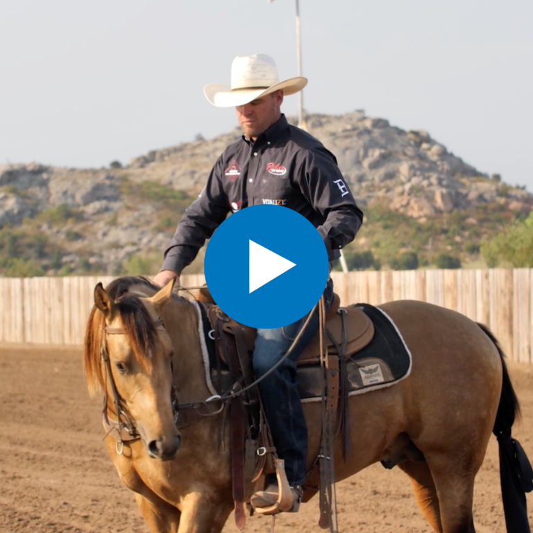 Untitled design - 2025-04-08T092643