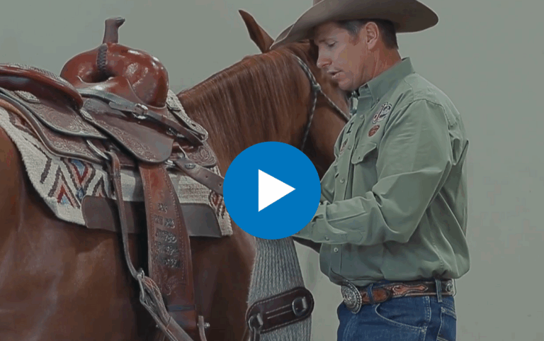 Untitled design - 2025-04-21T103731