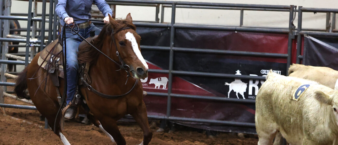 cinch rsnc ranch sorting in waco