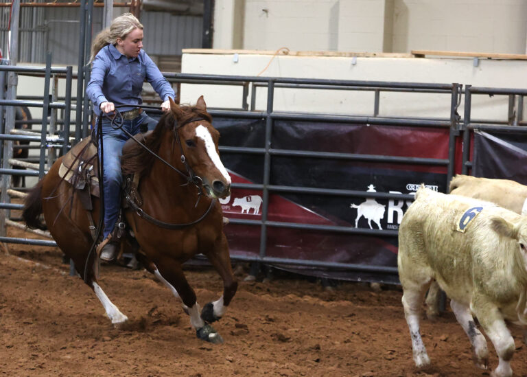 cinch rsnc ranch sorting in waco