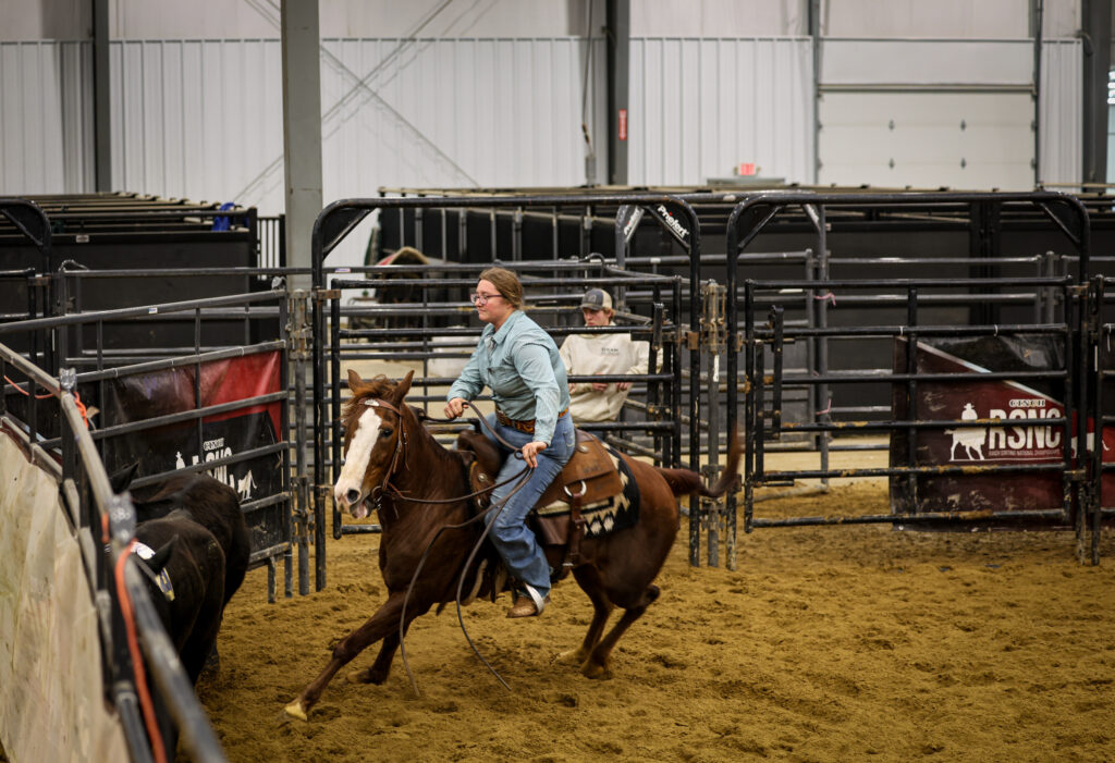 Cinch RSNC ranch sorting Columbiana, Ohio, April 2025