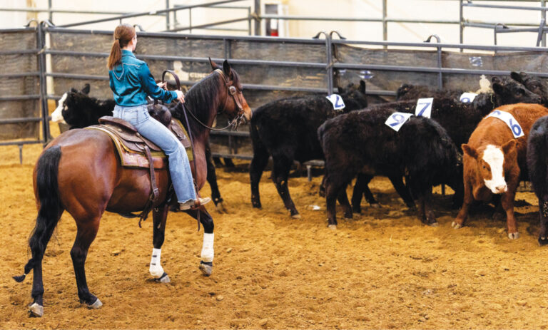 HR_25BON_Confident Rider