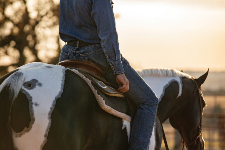 HR_25BON_Horsekeeping_Routines_01