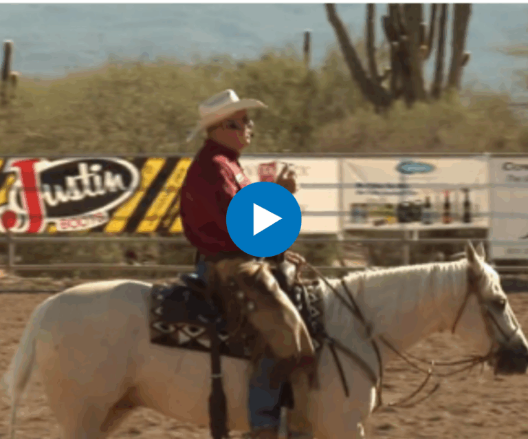 Video Article Covers