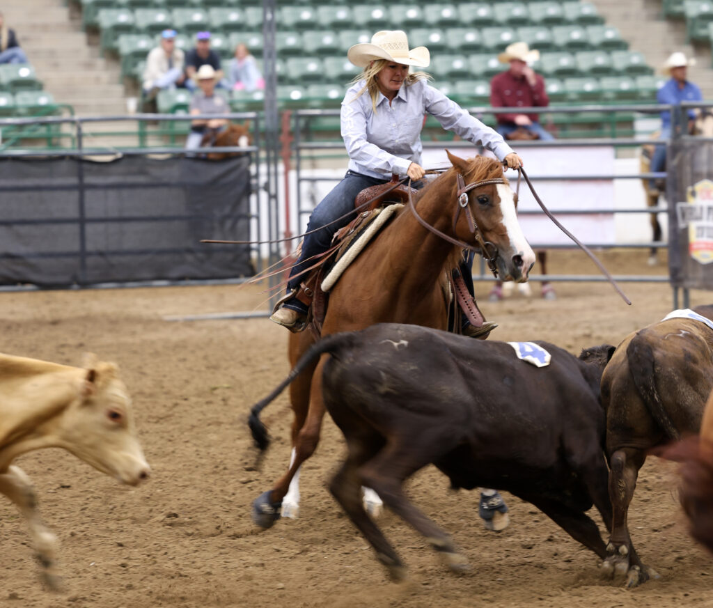 Jennifer Marshall Reno Rodeo Ranch Sorting