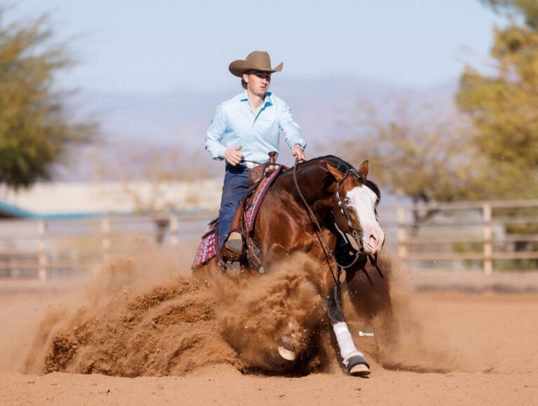 486382039_122178922880281222_3075522663688723798_n