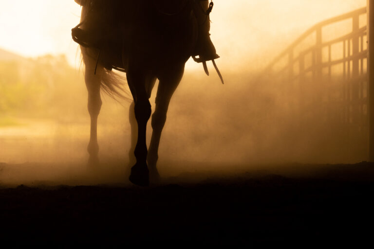 horses legs in shadow with dust