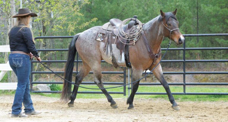 HR_25SUM_Confident-Rider_Navigating-Nerves_Lisa-Gentile