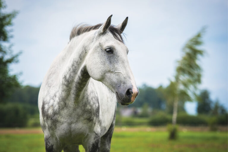 HR_25SUM_Health_Sunburn_01