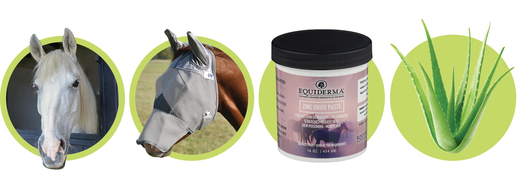 Horse Sunburn: How to Protect Sensitive Skin from the Sun