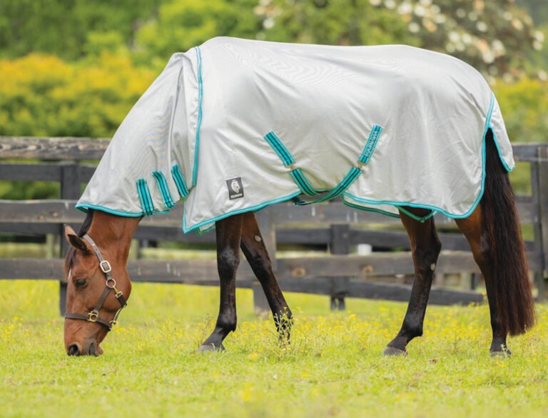 HR_25SUM_Solutions_Fly-Control_05