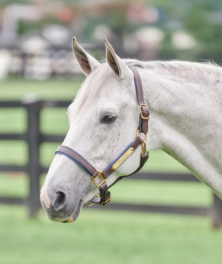 HR_25SUM_Style_Leather_01