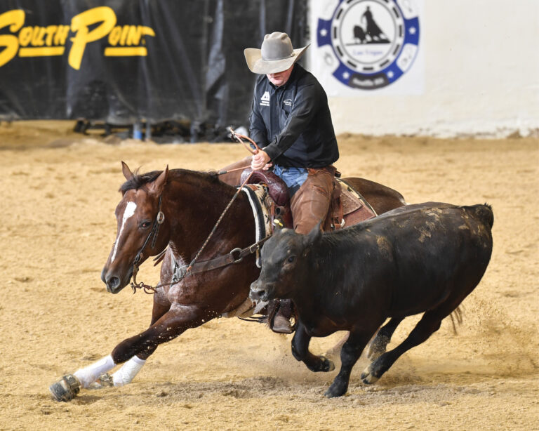 HR_25SUM_Travel_Vegas-Stock-Show_01