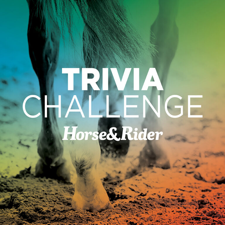 H&R_Trivia-Challenge