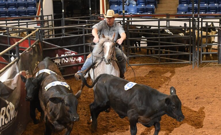 JL-WF25-ACbarC-SSS_1182