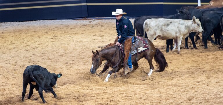 Austin_Shepard_Kittenish_TAPH25_EC_IMG_2297