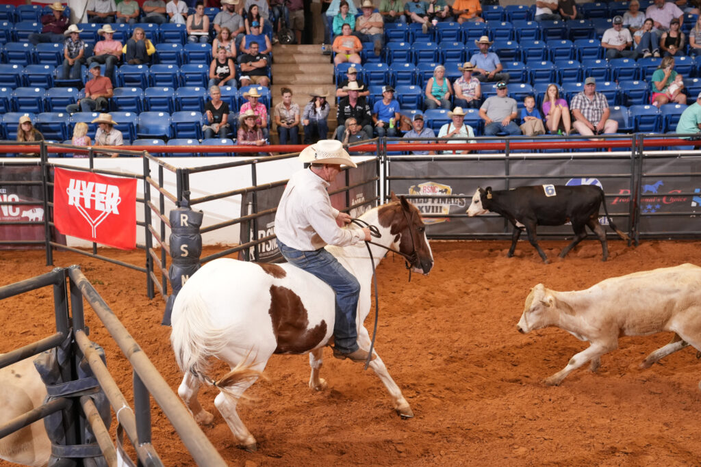 Dave Schaffner on Kota Cinch RSNC 2025 World Finals